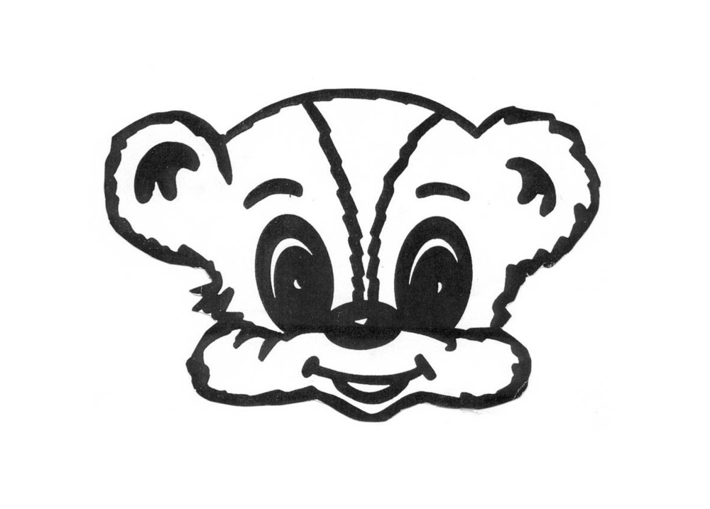 Cub Reporter